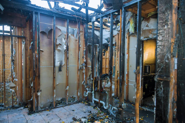 Professional Fire Damage Removal technician working in Diamond, MO